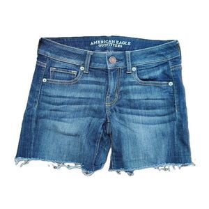 OOAK American Eagle Sz 4 Women's Hand Embroidered Flower Midi Jean Shorts